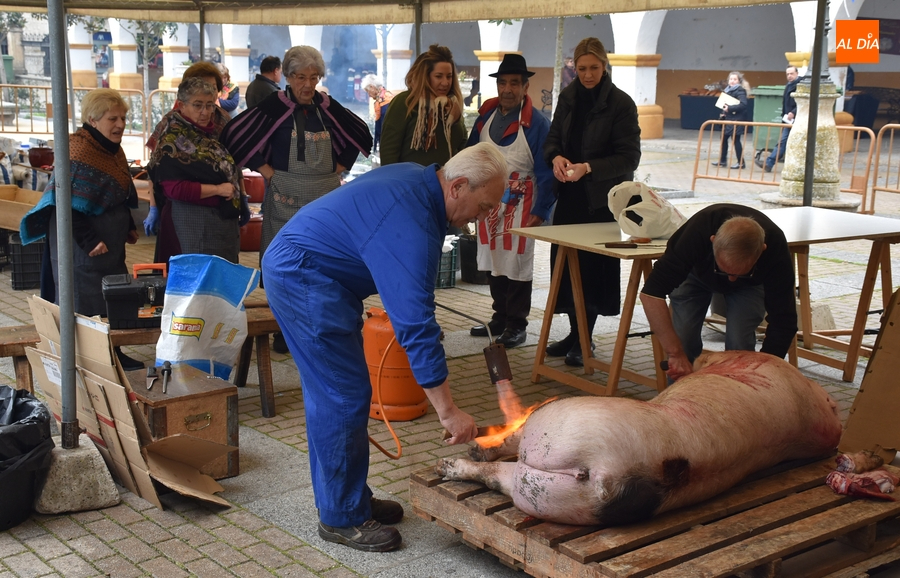 Ciudad Rodrigo vive una Feria de Botijeros pasada por agua pero con cierto ambiente