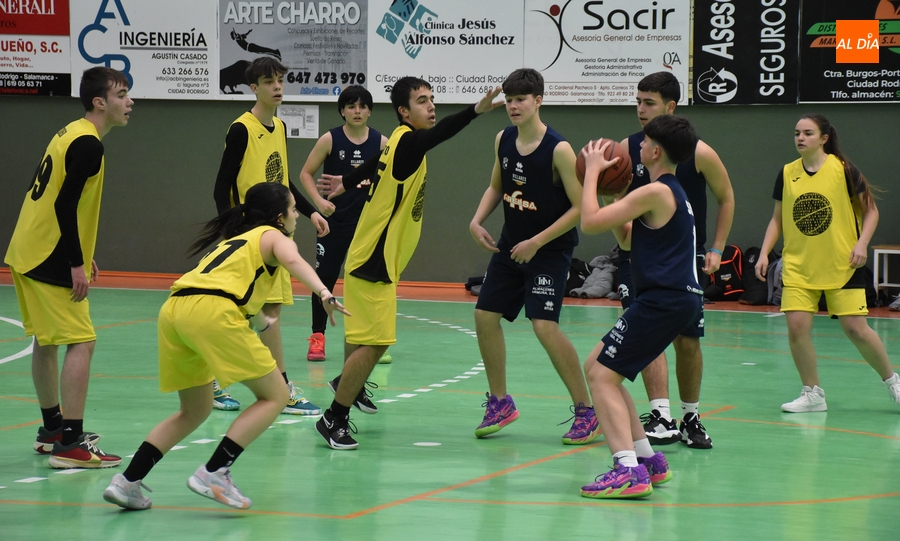 #M [1-3 MAR] Cara y cruz para los mirobrigenses en la inusual doble cita de basket en Conde de Foxá