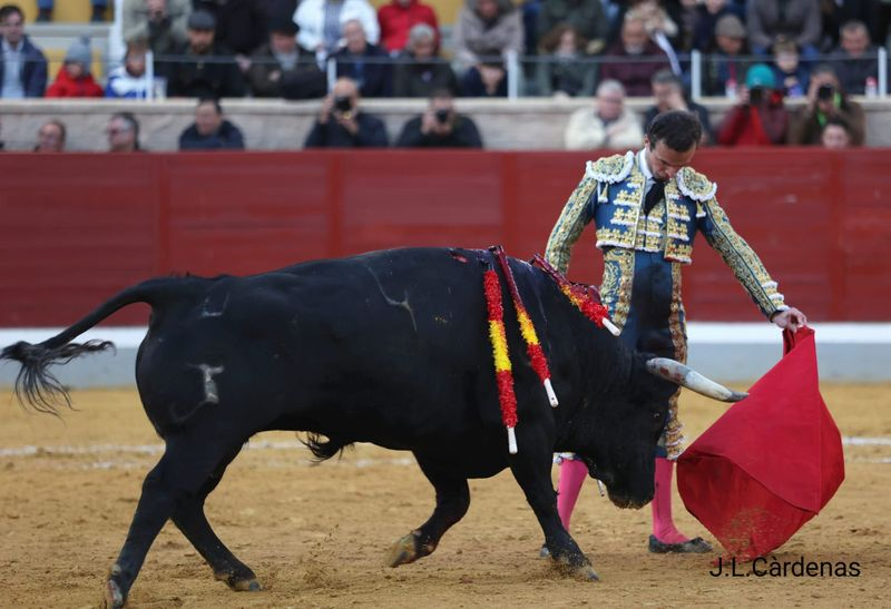 Damián Castaño borda el toreo en Villaseca de la Sagra