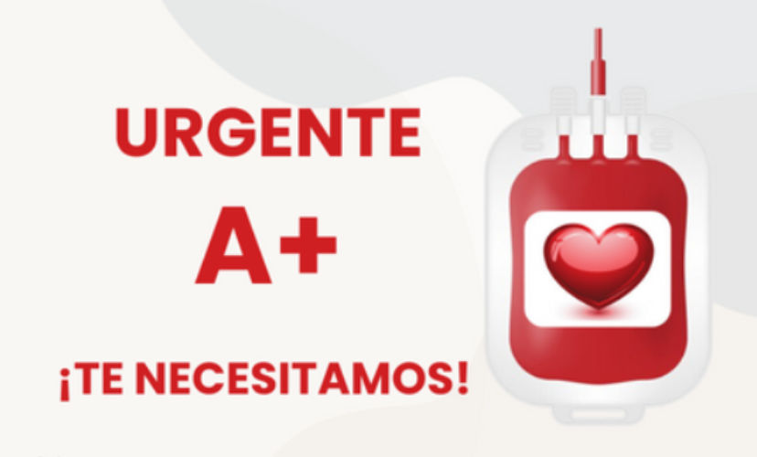 Necesidad urgente de A+ en la jornada de donación programada para el jueves