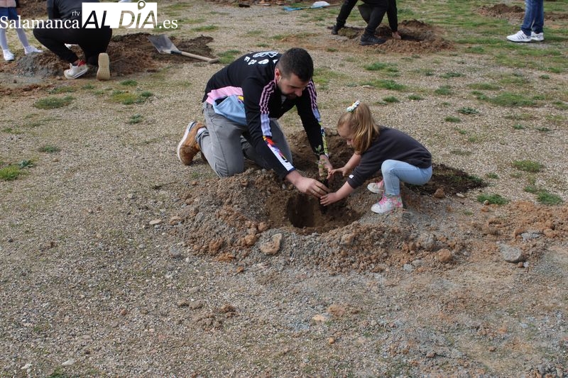 Alba de Tormes celebra el Día del Árbol con una plantación en El Pinar
