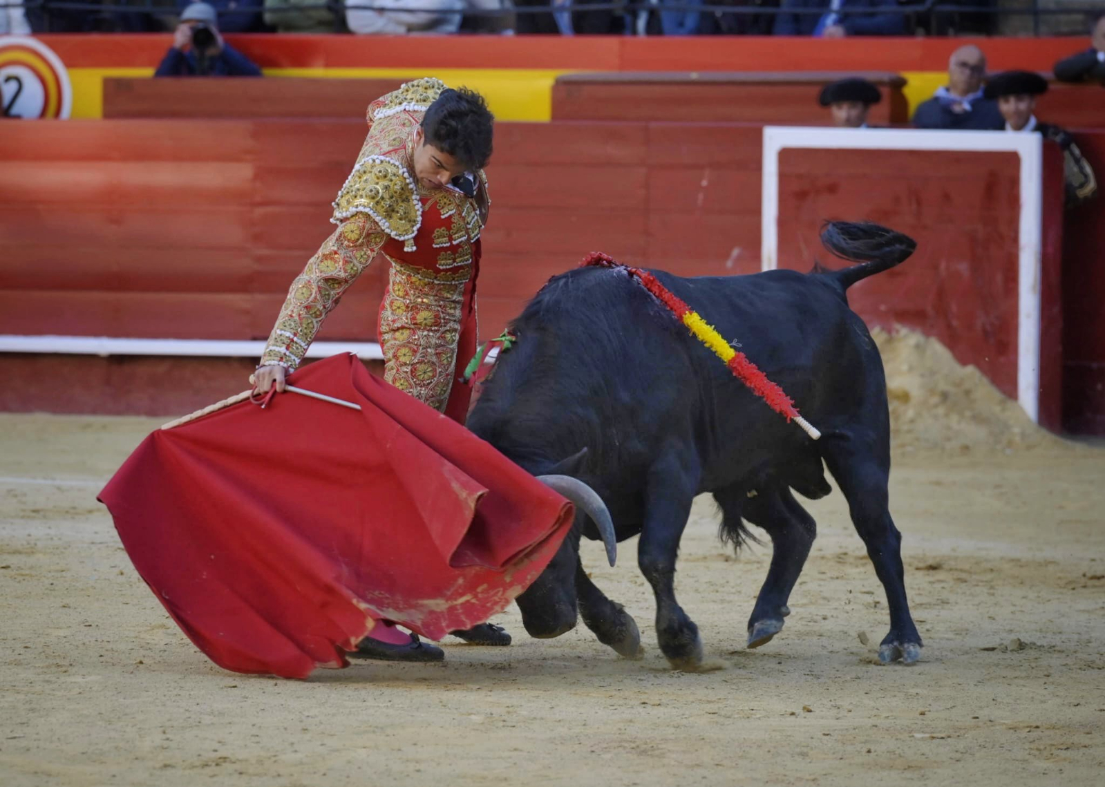 Gran novillada de José Cruz en Valencia