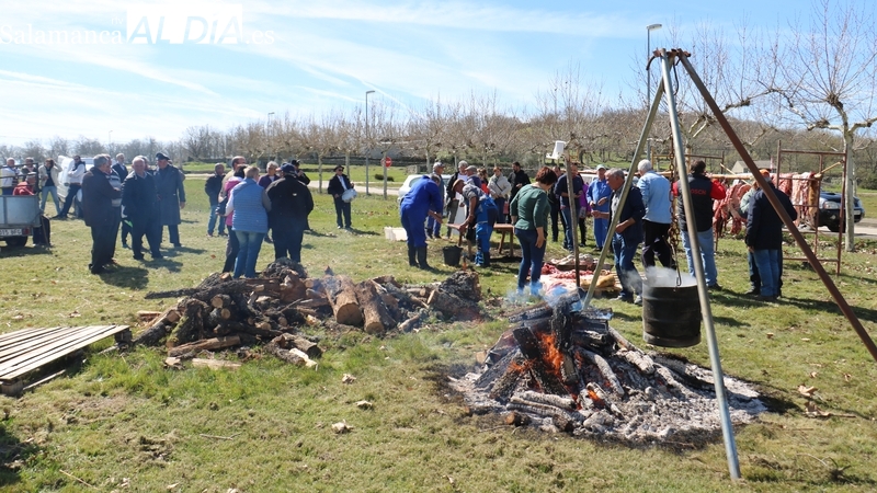 En Cerezal de Peñahorcada tienen todo preparado para celebrar nueva Fiesta de la Matanza Tradicional