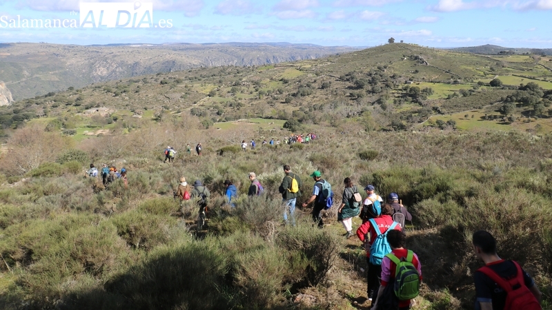 Todo dispuesto en Mieza para la XXVII Ruta de Senderismo Arribes del Duero