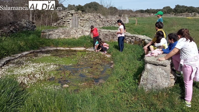 La Asociación Escuelas Campesinas de Salamanca promueve un programa educativo para la infancia en el Noroeste salmantino