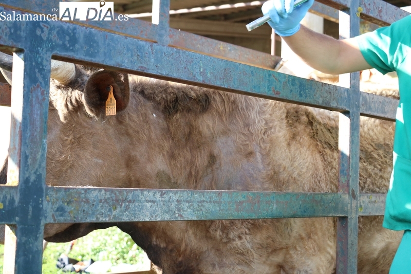 ASAJA Salamanca valora las propuestas de cambios de la PAC 2024