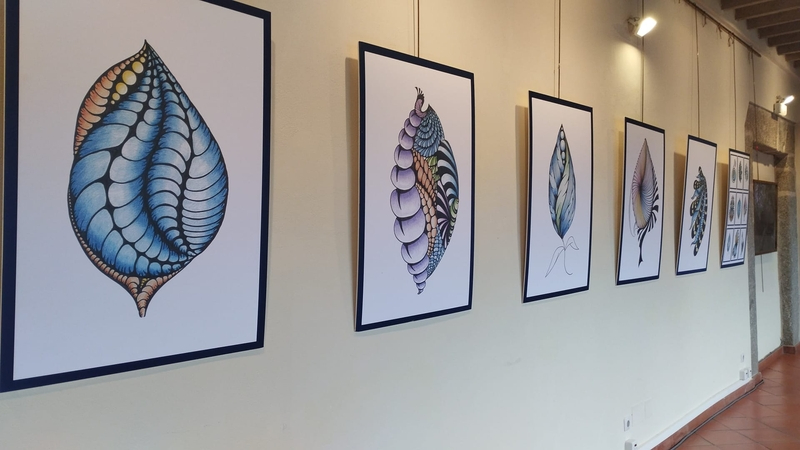 Ya se puede visitar la exposición colectiva Semillas Artísticas de la Biosfera en Béjar