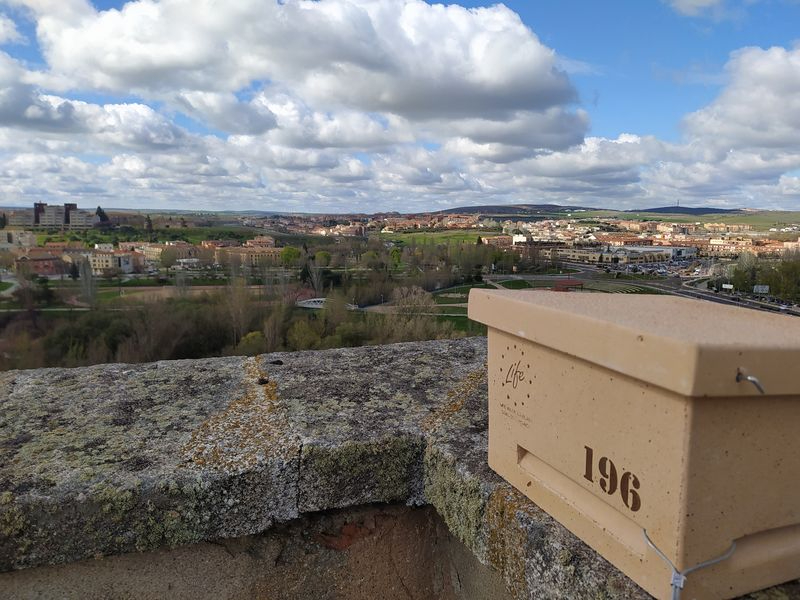 El Ayuntamiento instala 382 nidos y refugios de fauna para promover la biodiversidad urbana 