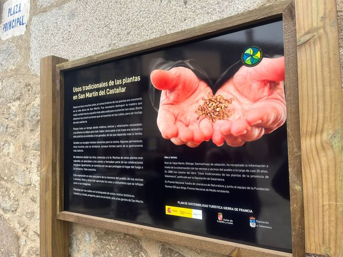 San Martín del Castañar llena sus calles con jardineras informativas 