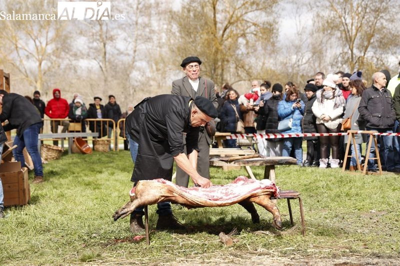La primera Fiesta Tradicional de la Matanza triunfa en Santa Marta