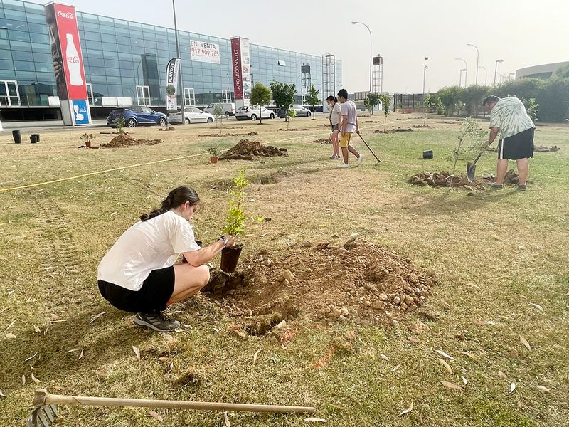 El Ayuntamiento de Carbajosa donará árboles a los vecinos 