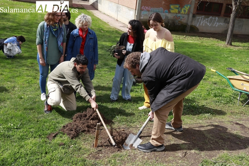 La USAL celebra el Día Internacional de los Bosques con la plantación de 40 hijas de su centenaria secuoya