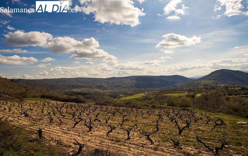 Talleres prácticos para fomentar productos en Turismo Enológico y Cultural de la Sierra de Francia