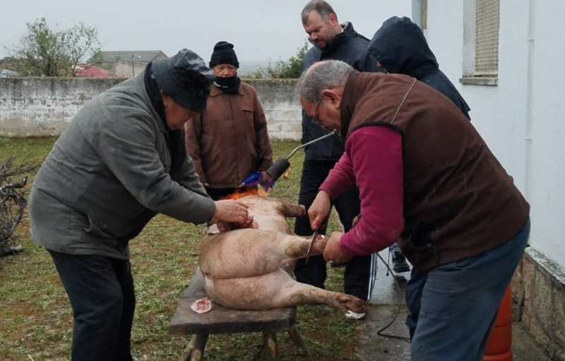 Peralejos de Abajo retoma la matanza tradicional