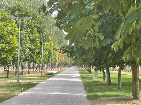 Varios parques y la zona arbolada de La Aldehuela cerrarán el viernes por los fuertes vientos