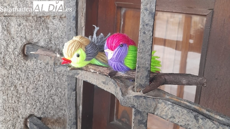 Cientos de pajarillos de múltiples colores eligen San Felices de los Gallegos para dar la bienvenida  a la primavera