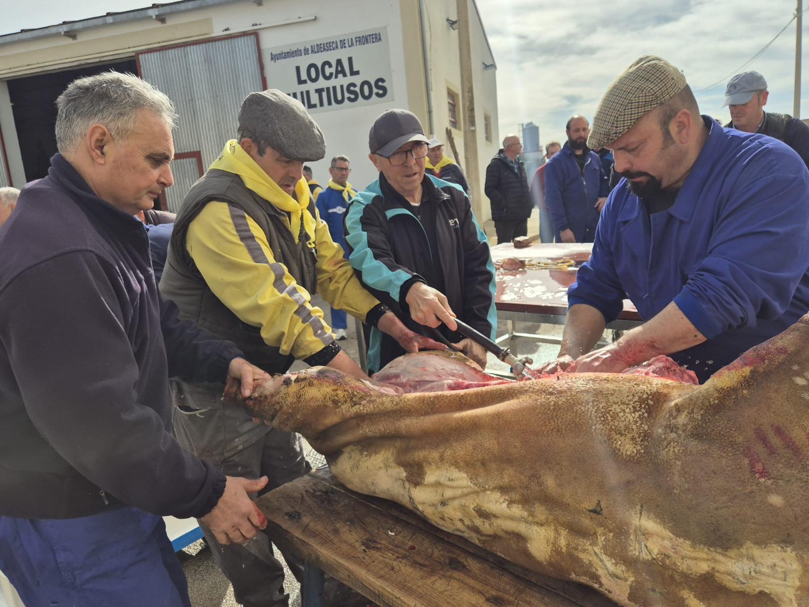 Multitudinaria y consolidada IX Matanza Típica en Aldeaseca de la Frontera