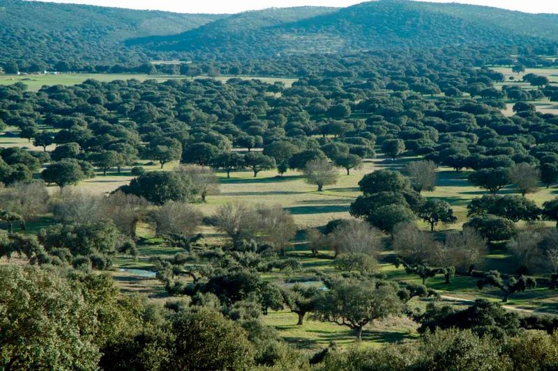 Queremos soluciones, no promesas 