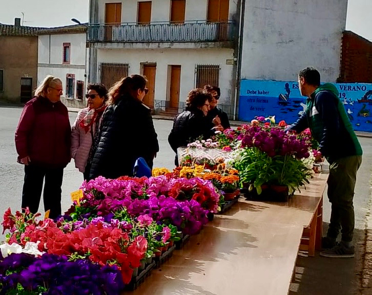 El mercado de flores pone en marcha una nueva campaña solidaria en Villoruela