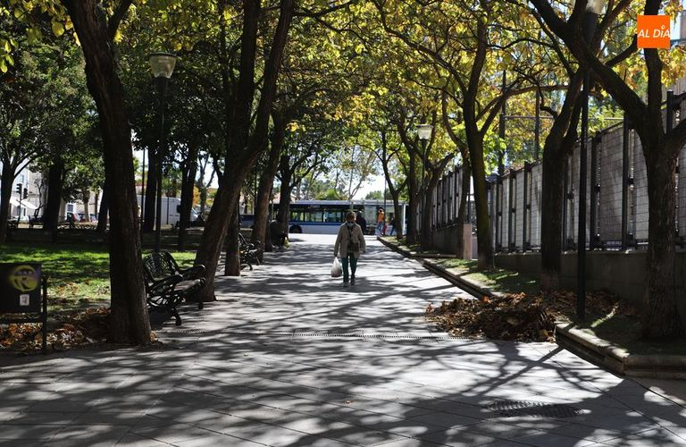 El grupo municipal socialista califica de sanciones irrisorias las asignadas a la empresa adjudicataria del contrato de parques y jardines