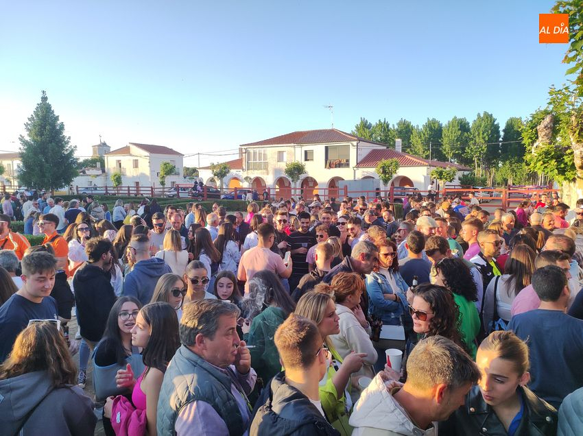 Águeda licita la instalación de una barra de bar durante sus fiestas de San Isidro Labrador