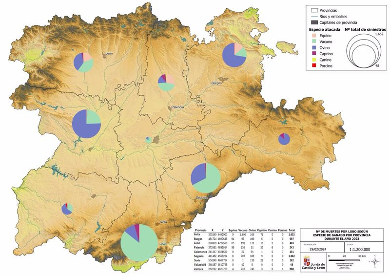 Los ataques del lobo al ganado en Castilla y León aumentan un 33% desde su protección