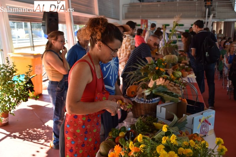 Una alternativa gratuita para escolares durante sus vacaciones de Semana Santa