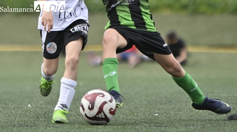 Árbitro, hijo de puta y maricona, los insultos de un padre en un partido de benjamines en Salamanca