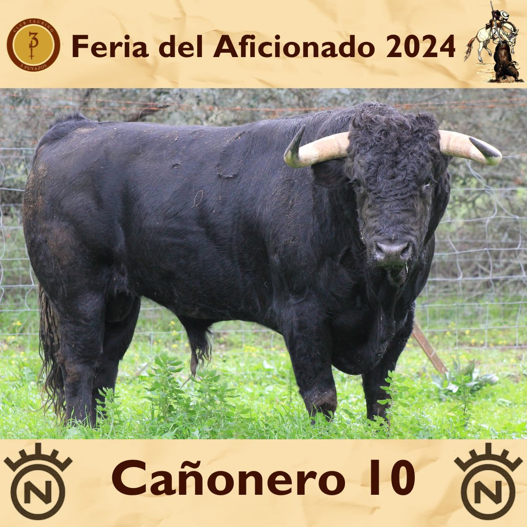 Así son los toros de Dolores Aguirre que lidiará Damián Castaño este domingo (FOTOS)