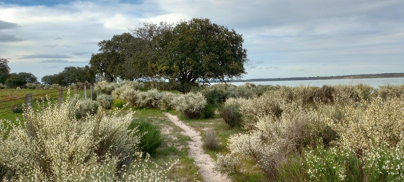 III Marcha de Senderismo ‘Los Secretos de la Presa’, una aventura por descubrir en Sardón de los Frailes