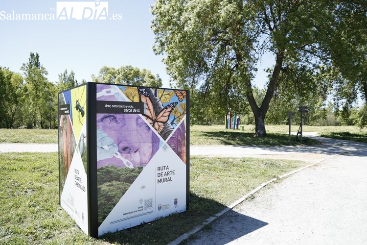 Nuevos cubos promocionales e informativos repartidos por Santa Marta 