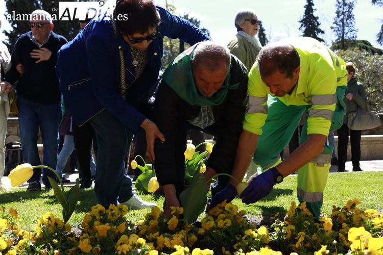 Tulipanes amarillos para concienciar sobre el Parkinson
