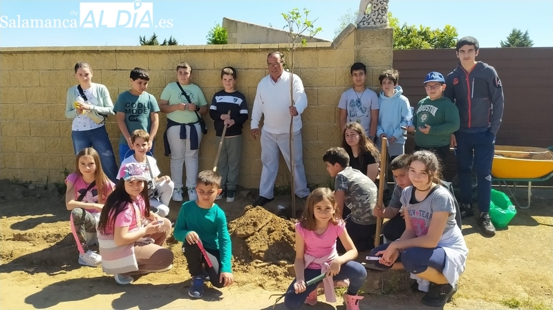 Los niños de Hinojosa plantan árboles en el paseo desde la residencia hasta las piscinas