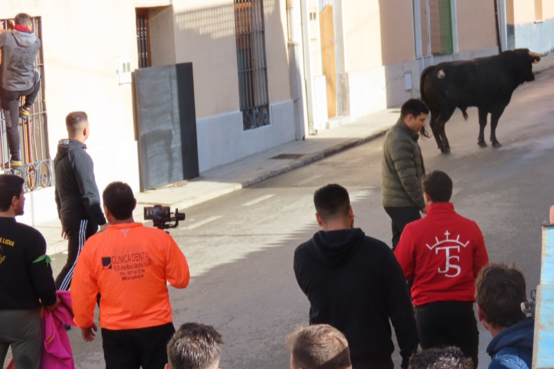 Cantalapiedra se llena de aficionados para vivir el II Toro de la Misericordia