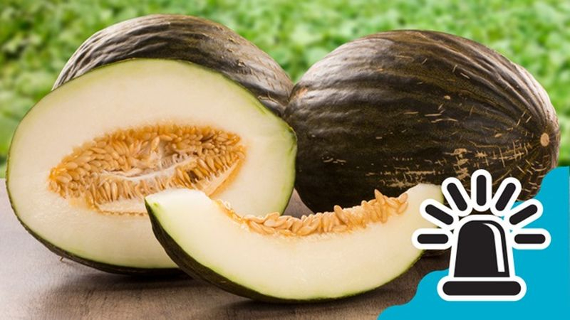 Alerta por pesticidas en melones procedentes de Marruecos