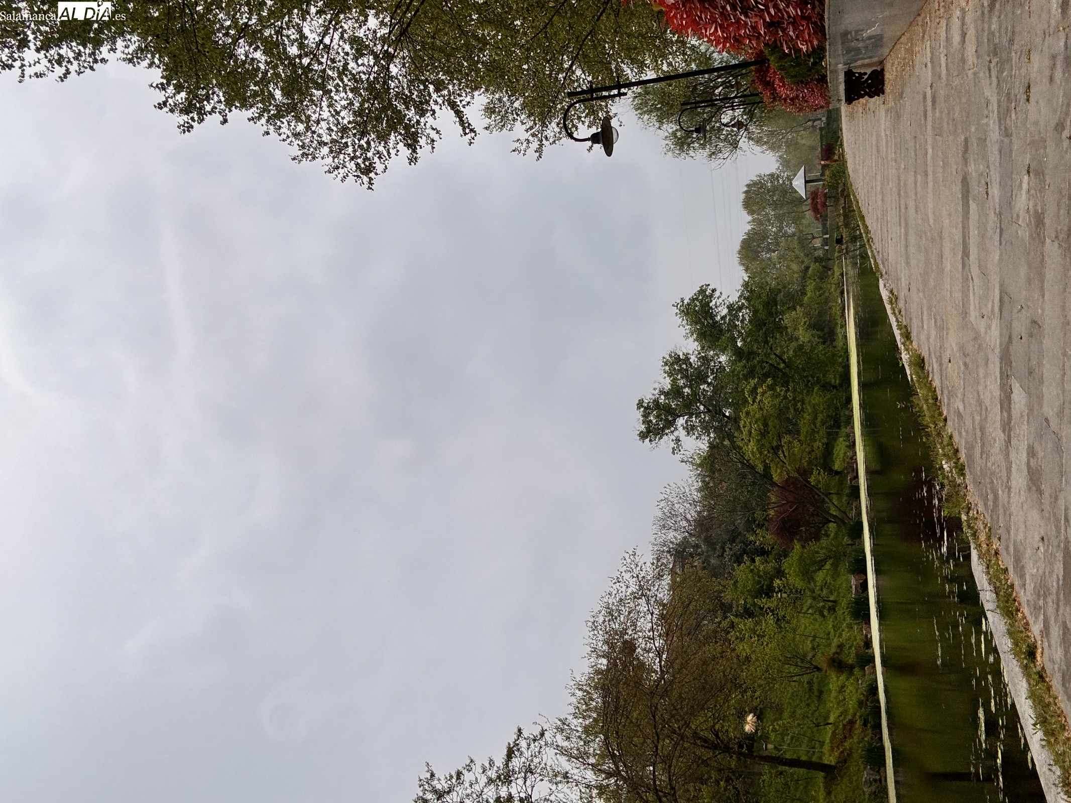 El sol en la orilla de tus ojos