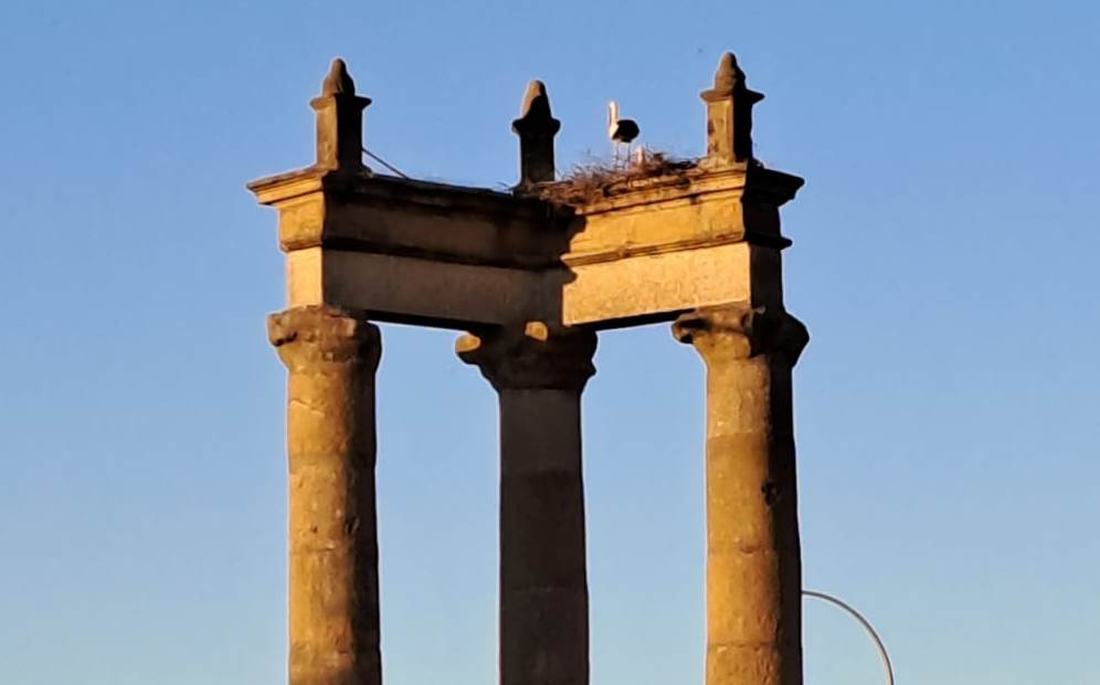 1Foto: Nueva inquilina