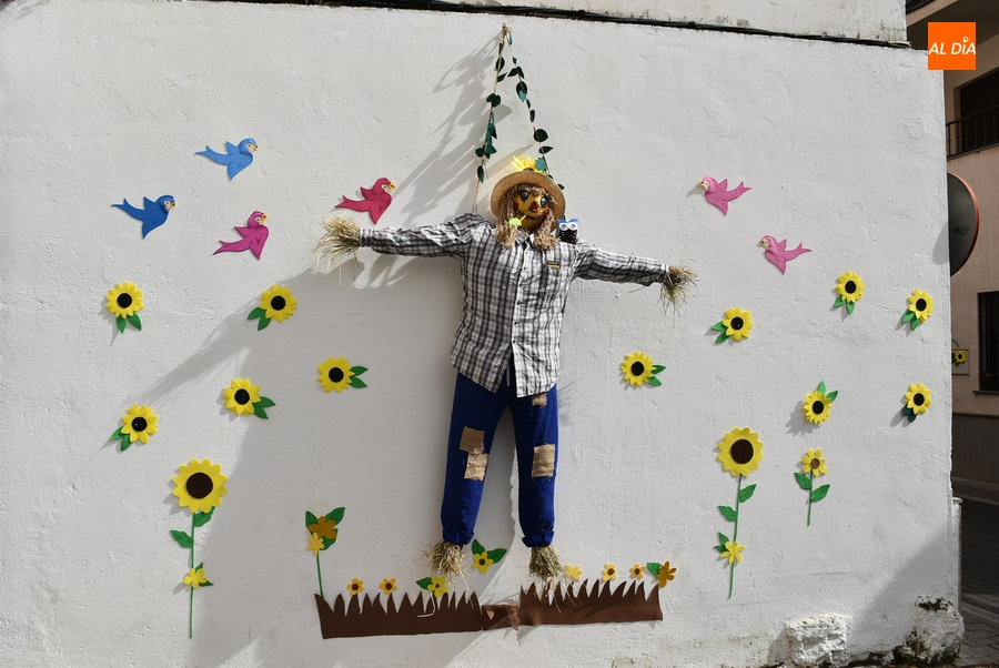 Seis zonas tomarán parte en el Concurso Floral de Primavera que arranca este viernes