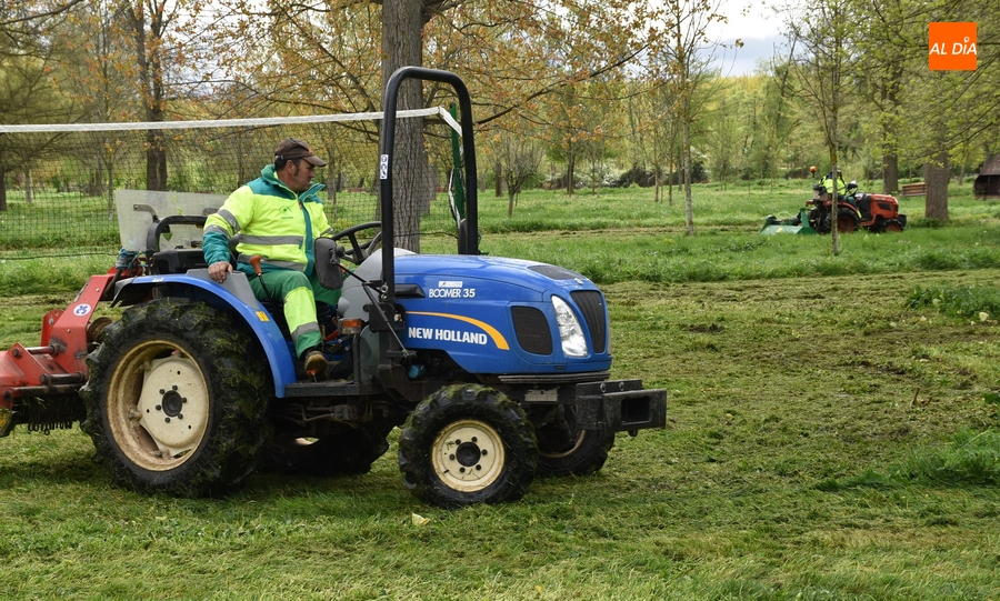El Ayuntamiento contratará a tres jóvenes de entre 18 y 30 años como peones de jardinería