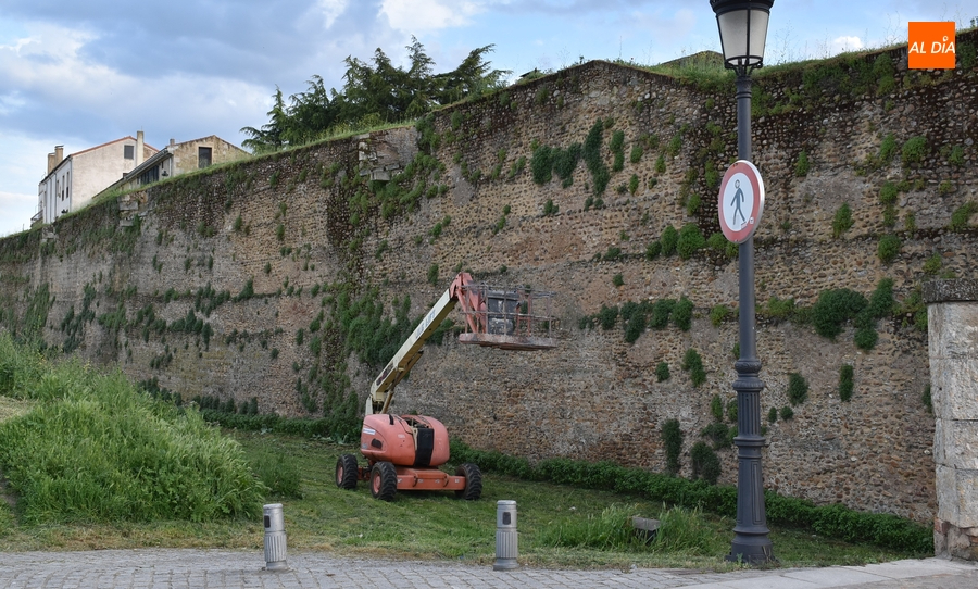 En marcha una nueva ronda de limpieza de los paramentos de la muralla