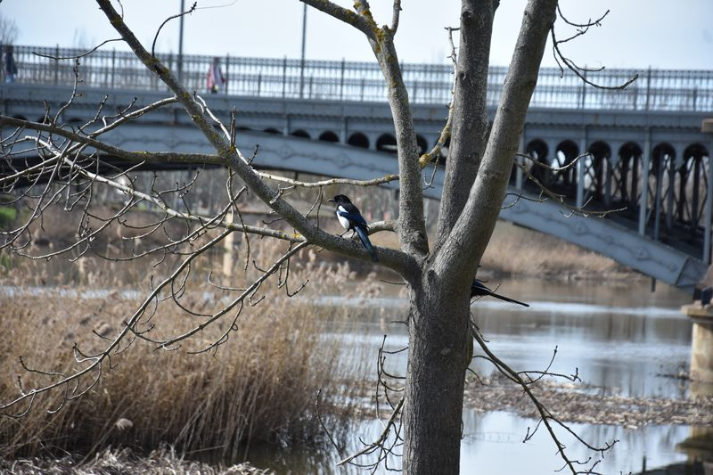 El cruel y loco abril
