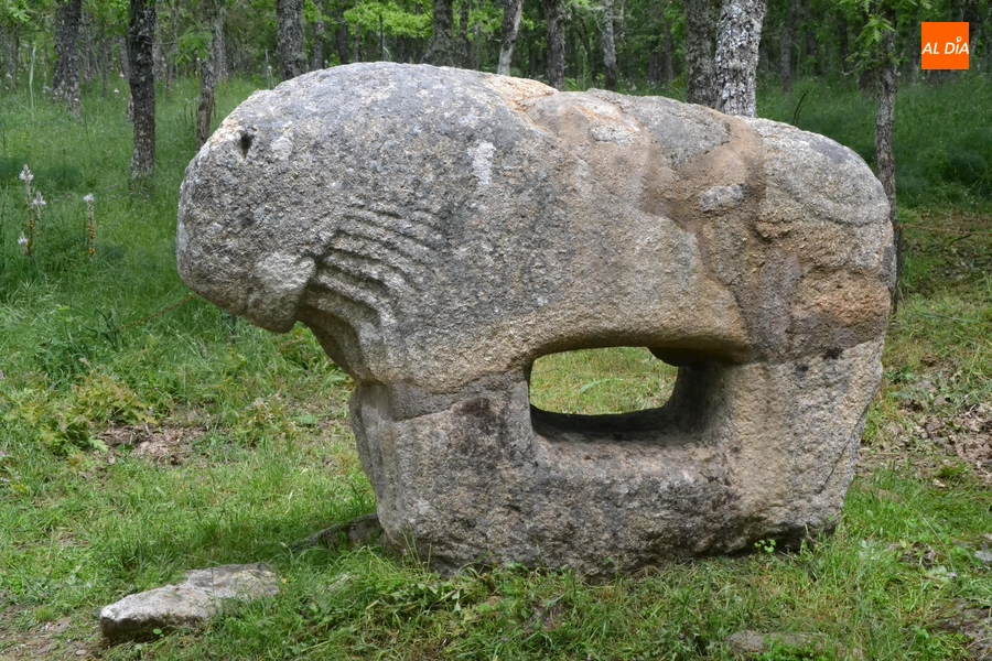 El PSOE presenta 17 enmiendas en torno a la comarca mirobrigense al Presupuesto de la Junta