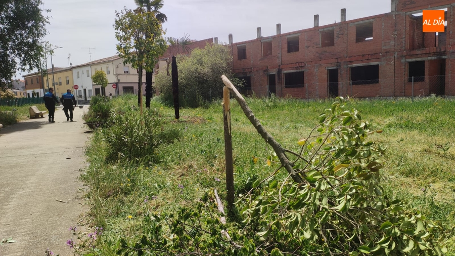 Registrados a plena luz del día actos vandálicos en el parque del Regato Cachón