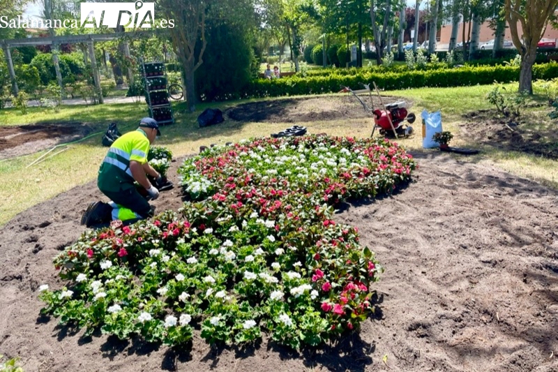 Abiertas las inscripciones de una nueva bolsa municipal de trabajo para jardinería