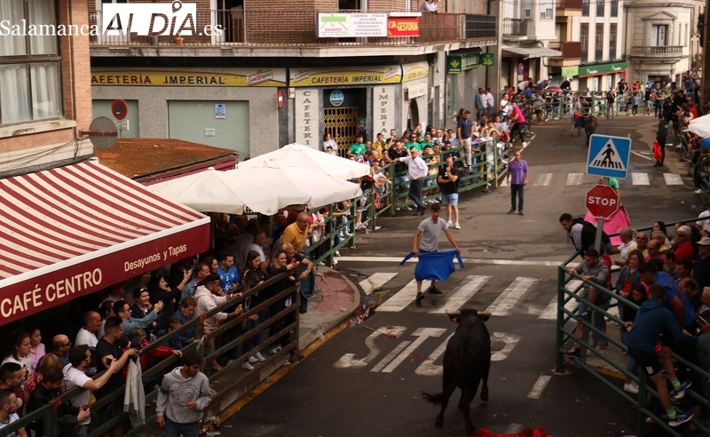 El Ayuntamiento de Vitigudino saca a licitación los festejos taurinos del Corpus