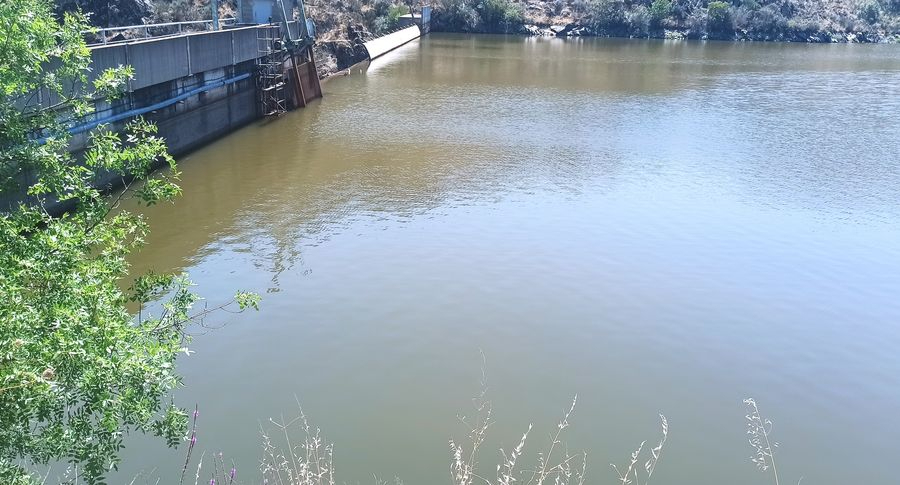 La CHD cataloga de ‘peor que bueno’ el estado de la masa de agua de 5 de los 7 tramos del Águeda