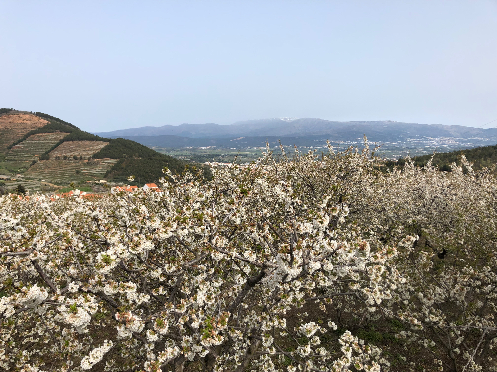 Não deixes de sonhar