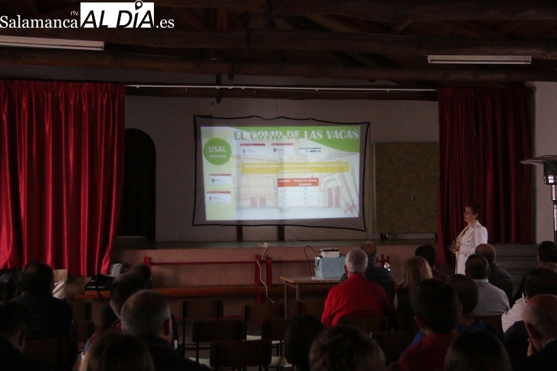 La USAL pide la colaboración de los ganaderos para un estudio sobre la incidencia de EHE en la cabaña de vacuno