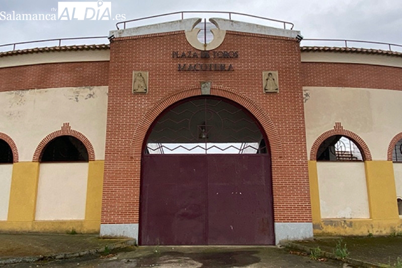 Tres novillos de nivel y dos vacas protagonizan la II Capea Popular en Macotera