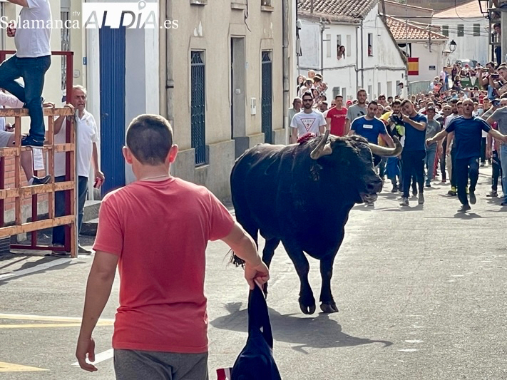 Cantalpino celebrará a San Isidro con cinco intensos días de fiesta